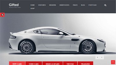  Automobiles Website Design Amritsar | Design#501
     