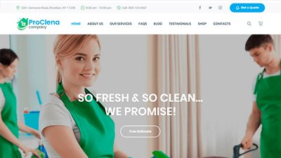  Cleaning Service Website Design Amritsar | Design#877
     