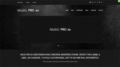  Music Website Design Amritsar | Design#68
     