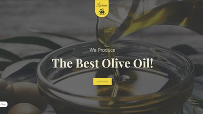  ECommerce Website Design Amritsar | Design#867
     