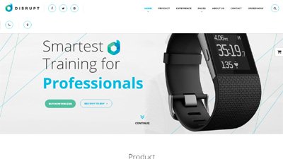 Business Website Designer Amrtisar 